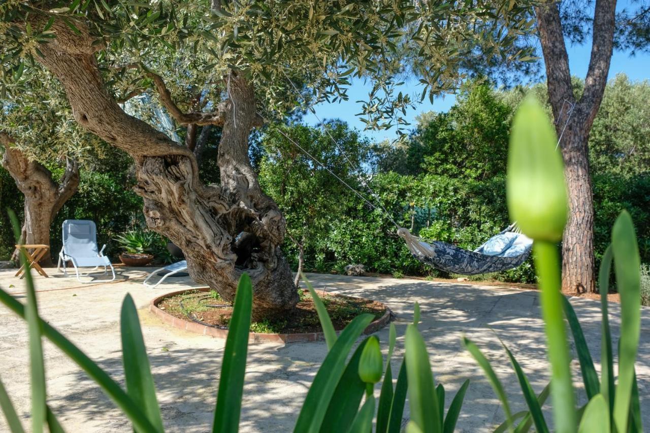 Pugliamandia Villa Monopoli Dış mekan fotoğraf