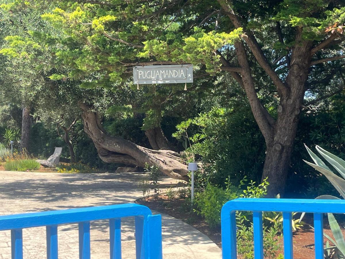 Pugliamandia Villa Monopoli Dış mekan fotoğraf