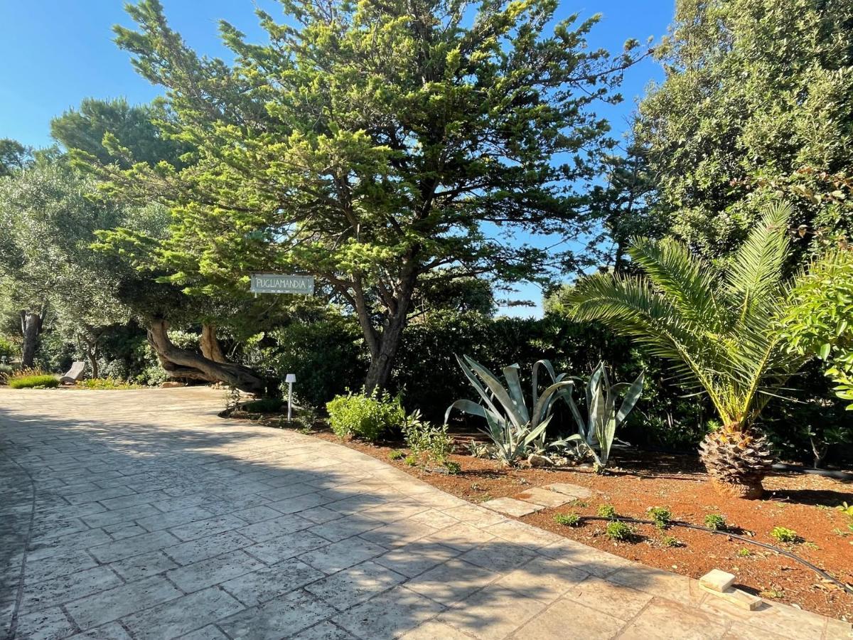 Pugliamandia Villa Monopoli Dış mekan fotoğraf